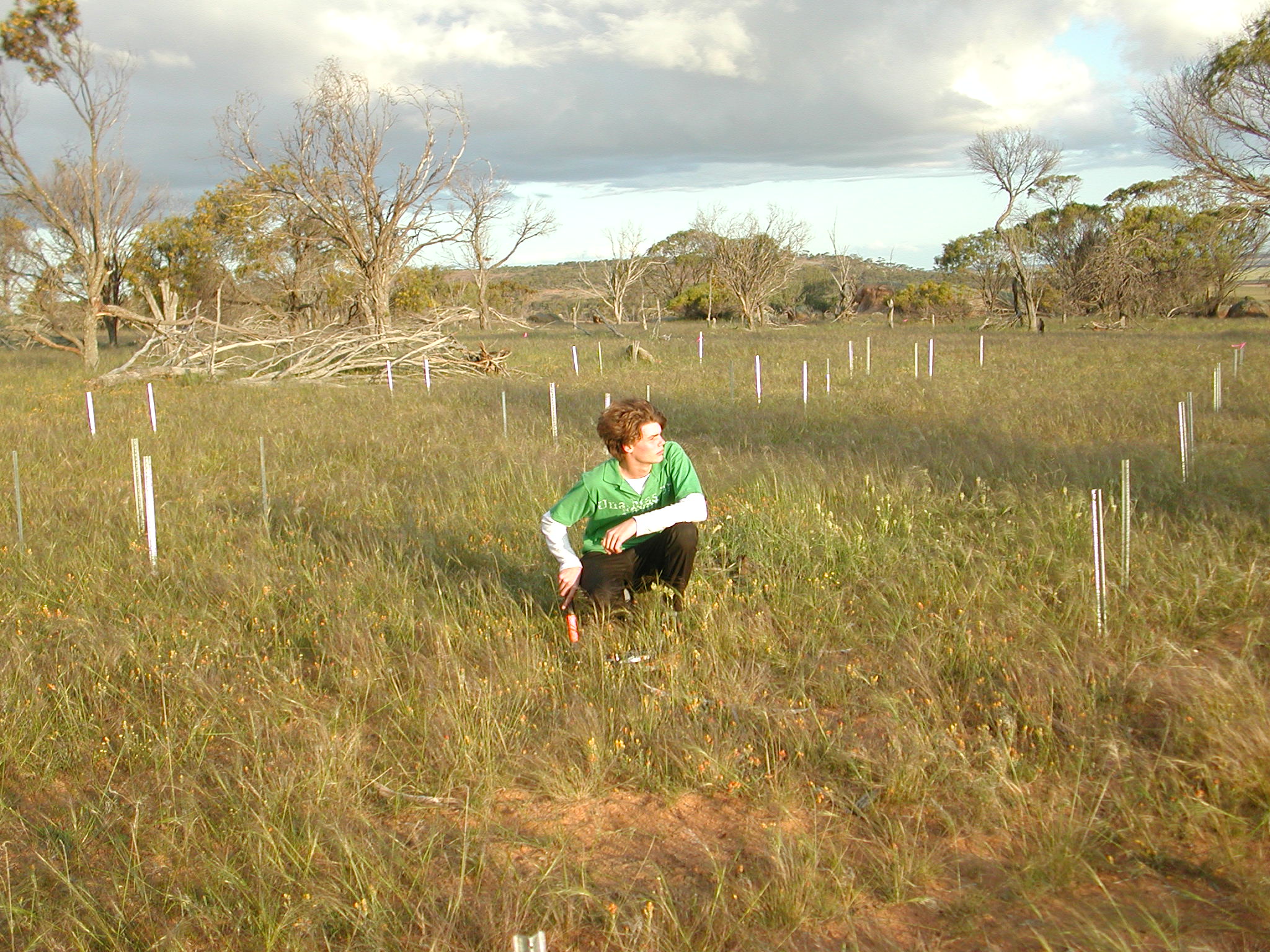 Mount Caroline site Sam Thiel collecting sample 2008