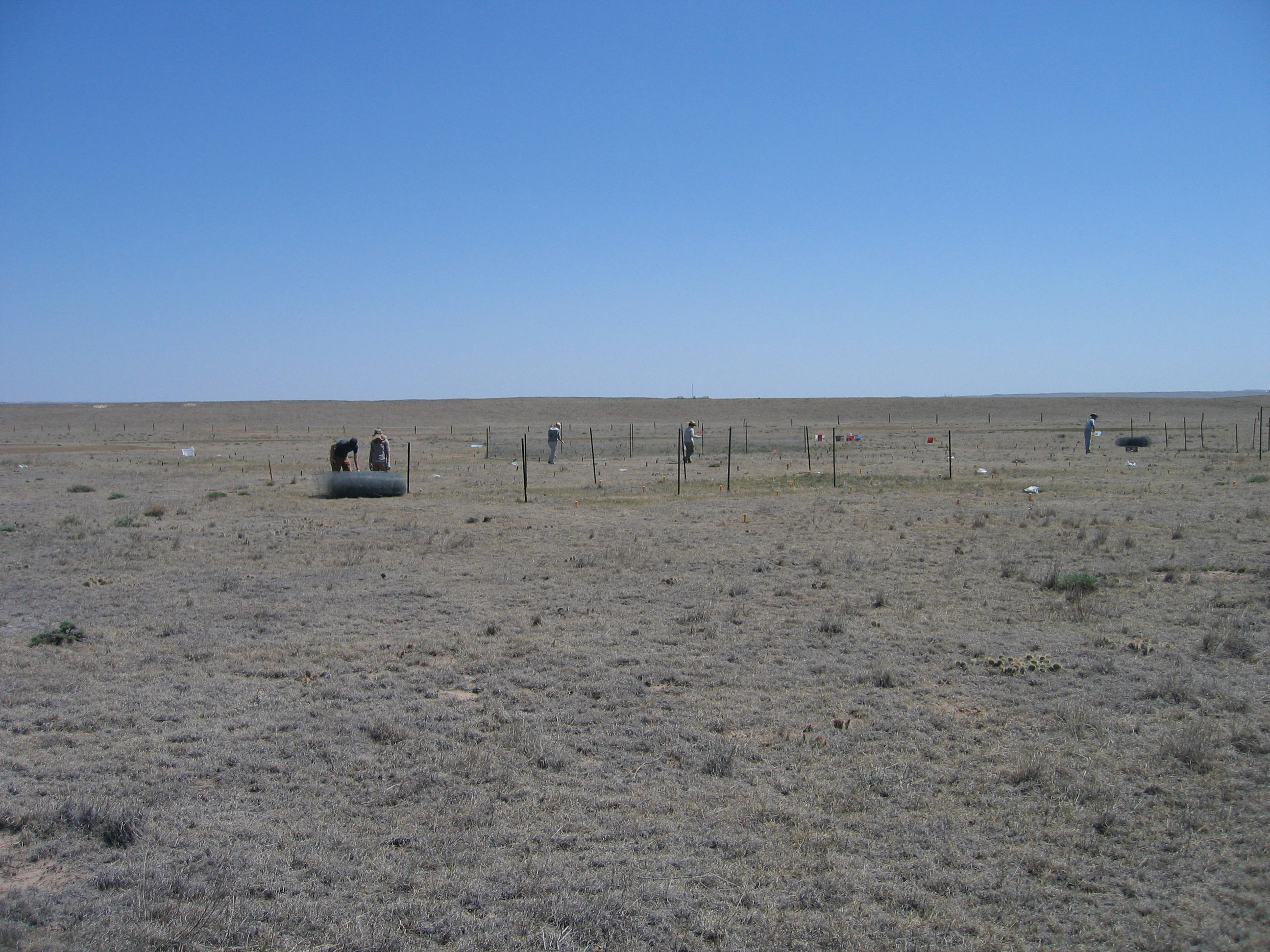 Annual fence installation & nutrient addition May2012-1