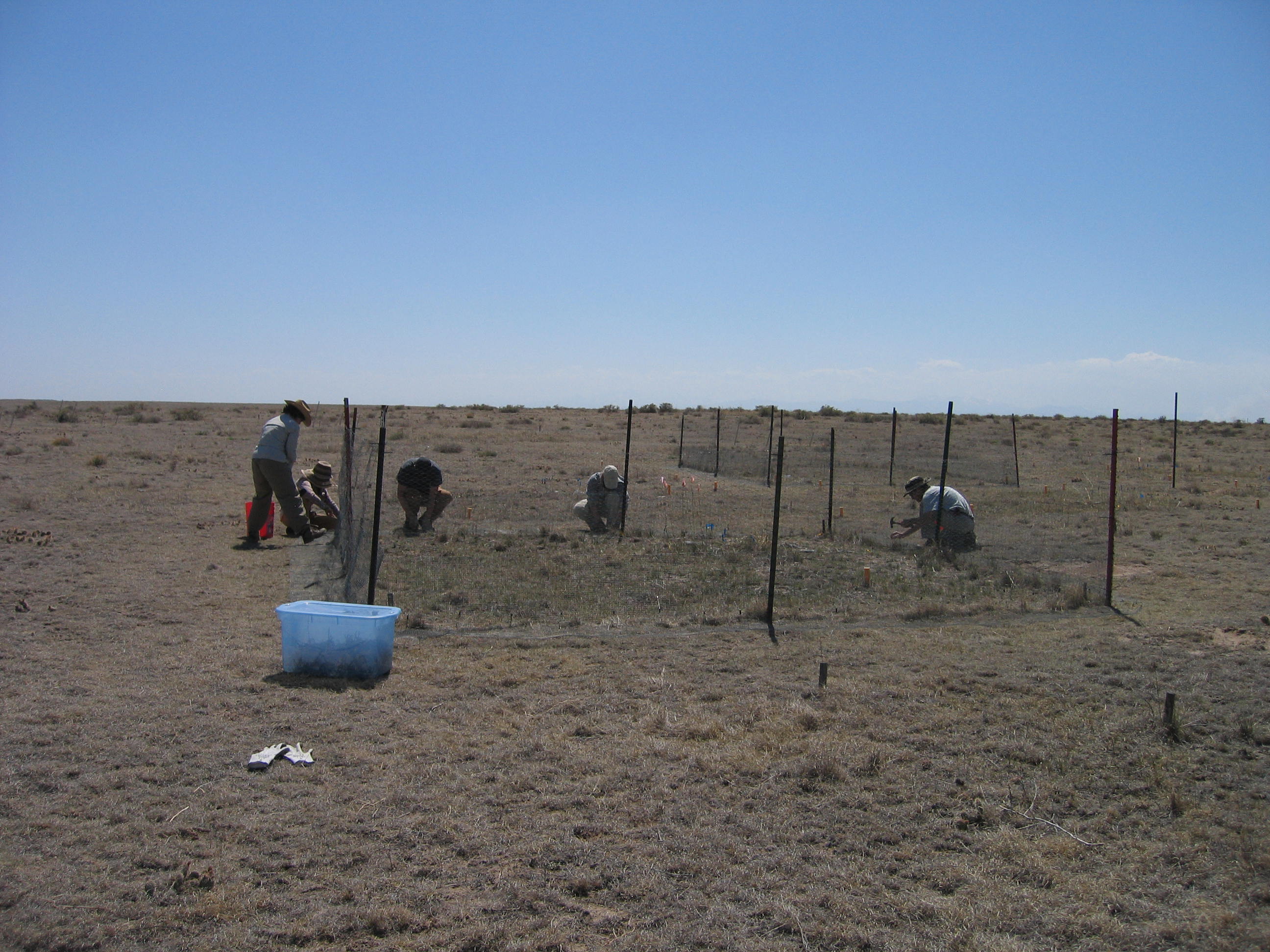 Annual fence installation May2012-1