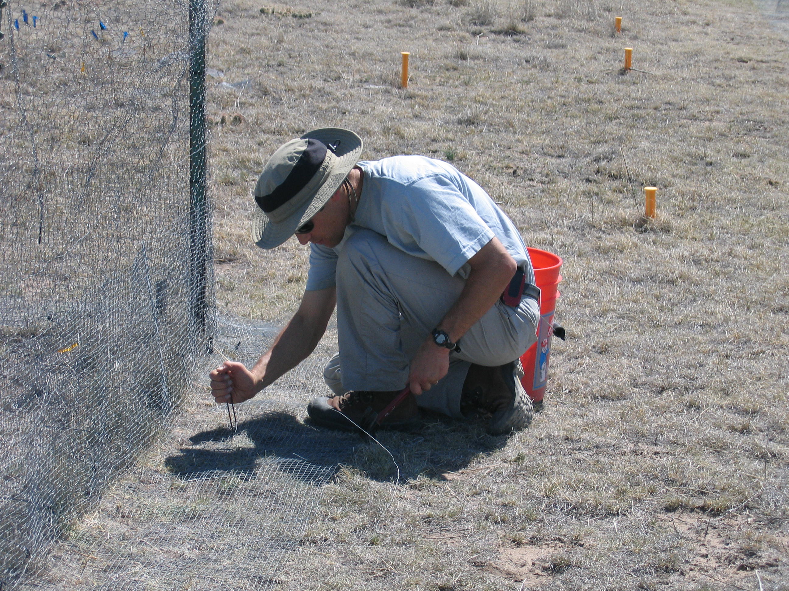 Annual fence installation May2012-2