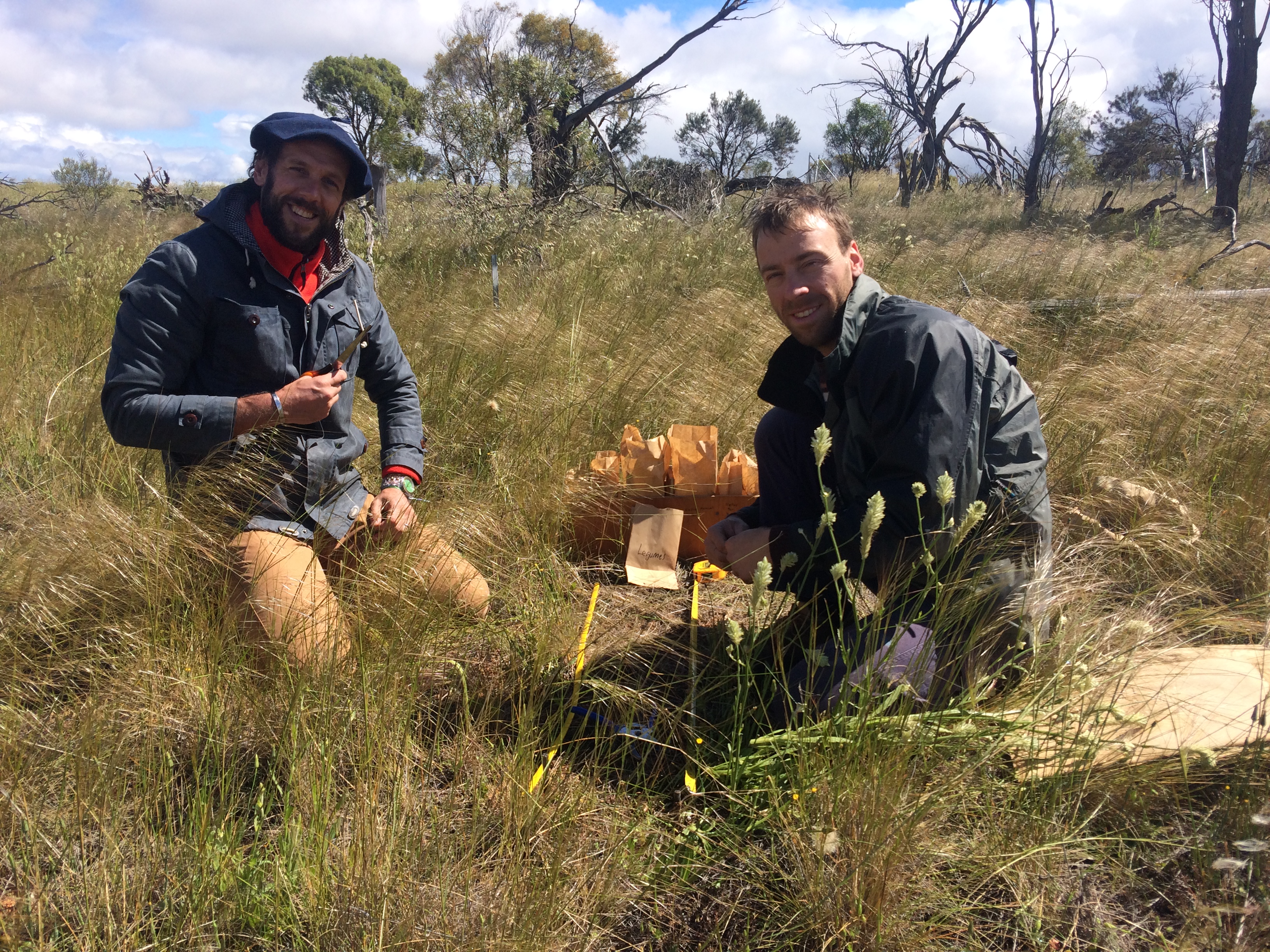 Mount Caroline site with Pedro Tognetti and George Wiehl 2017