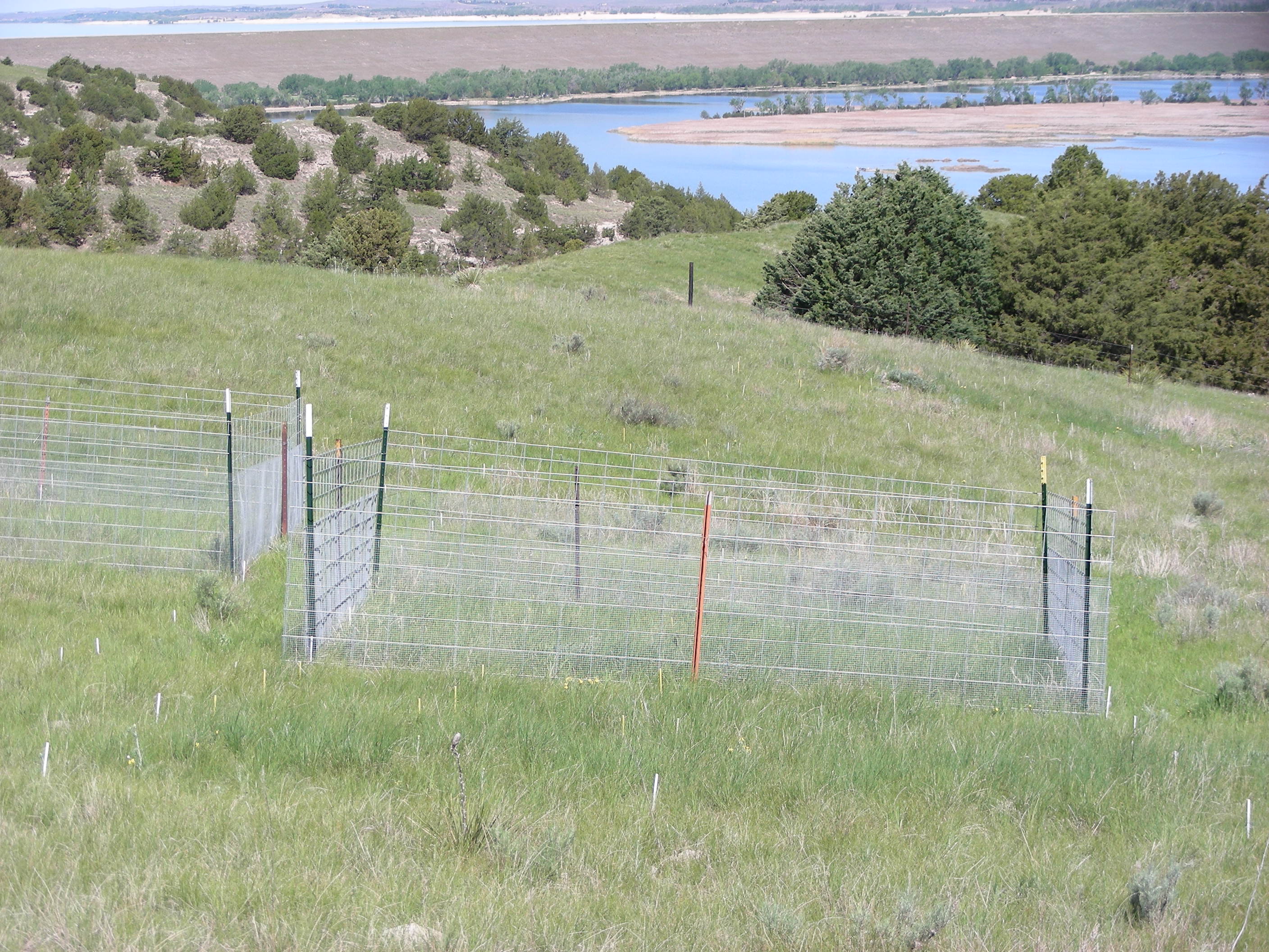Cedar Point Biological Station site, photo 2