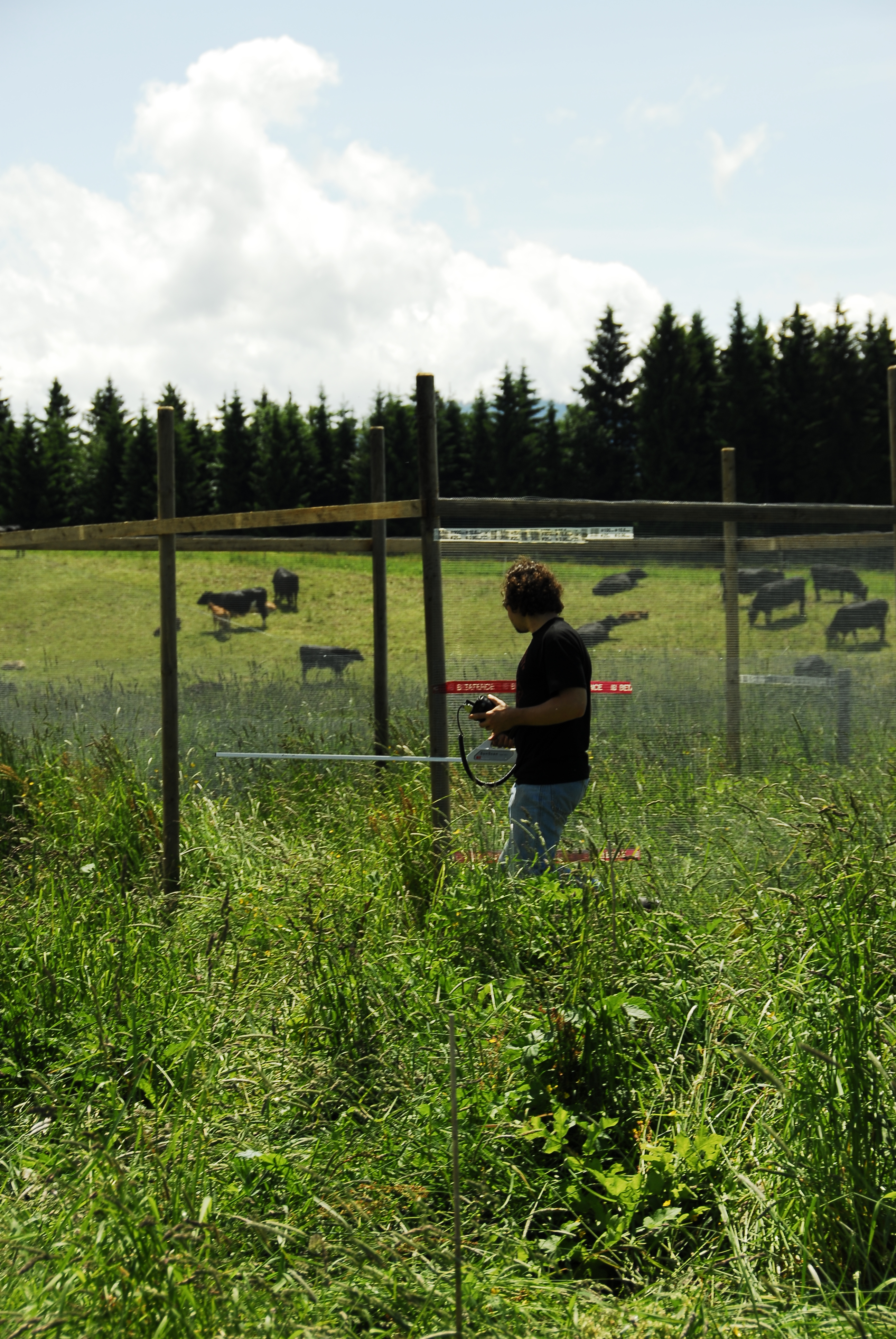 Exclosure at Fruebuel, photo 1