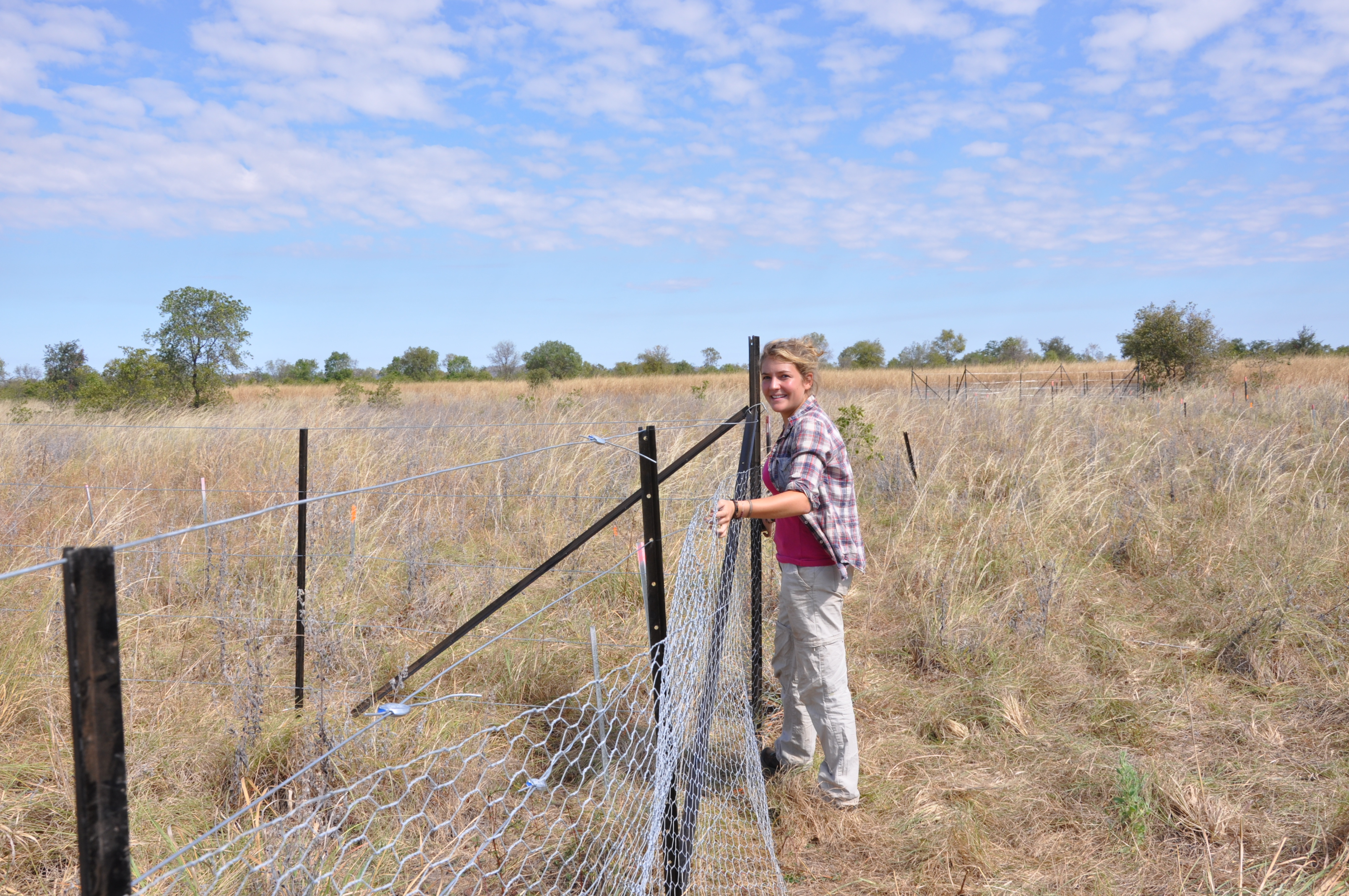 Kidman Springs site Installing fencing