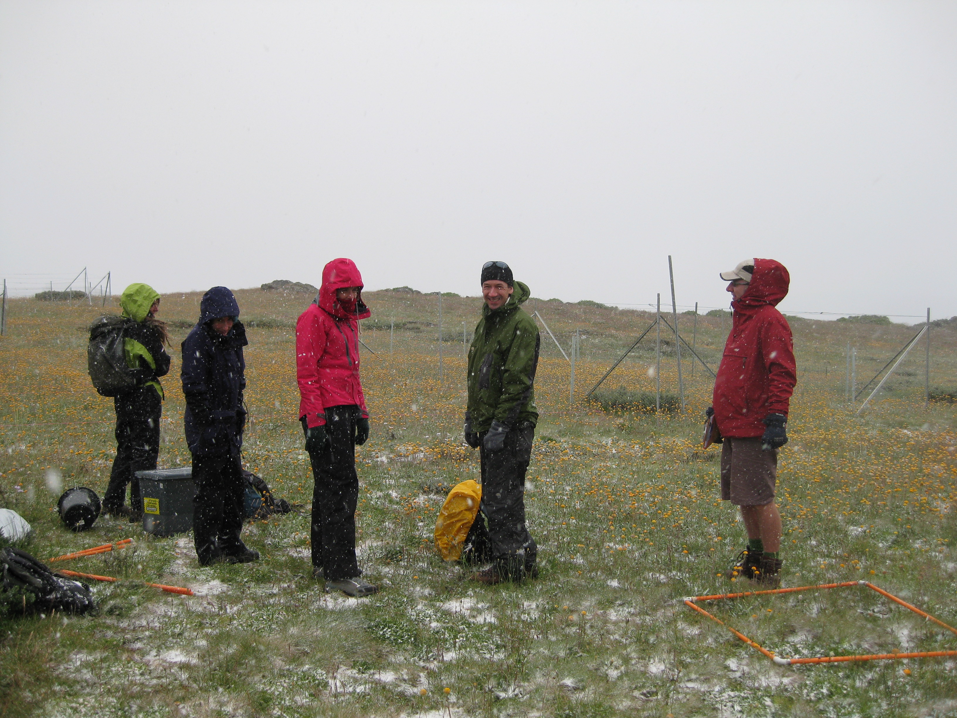Bogong site team members