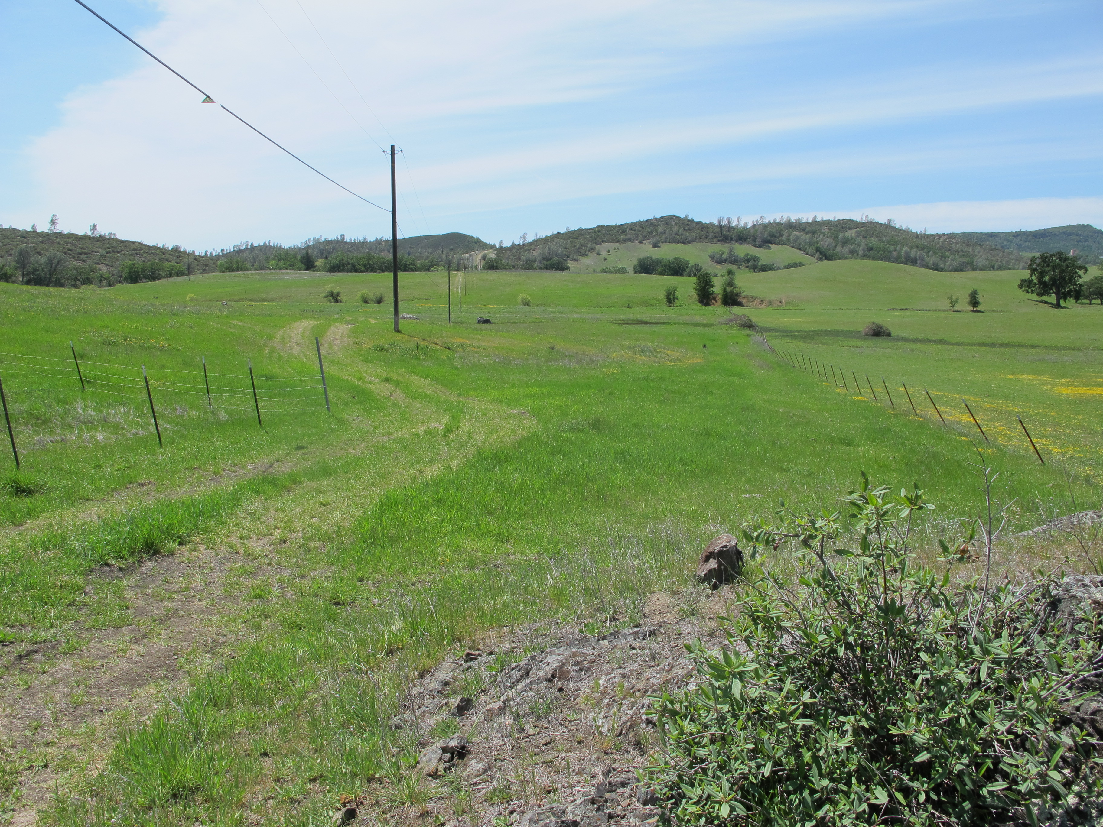 Landscape at McLaughlin UCNRS site, photo 1