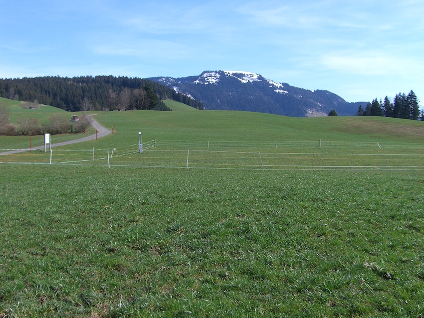 Fruebuel site landscape in April 2015