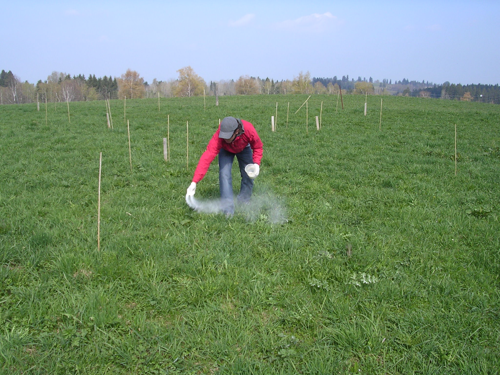 Nutrient addition at Fruebuel site, photo 2