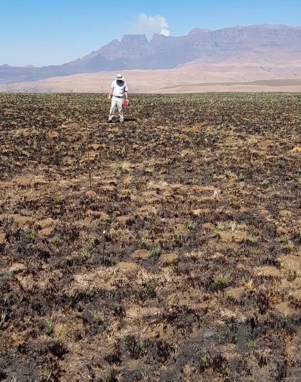 Drakensberg site photo 2018
