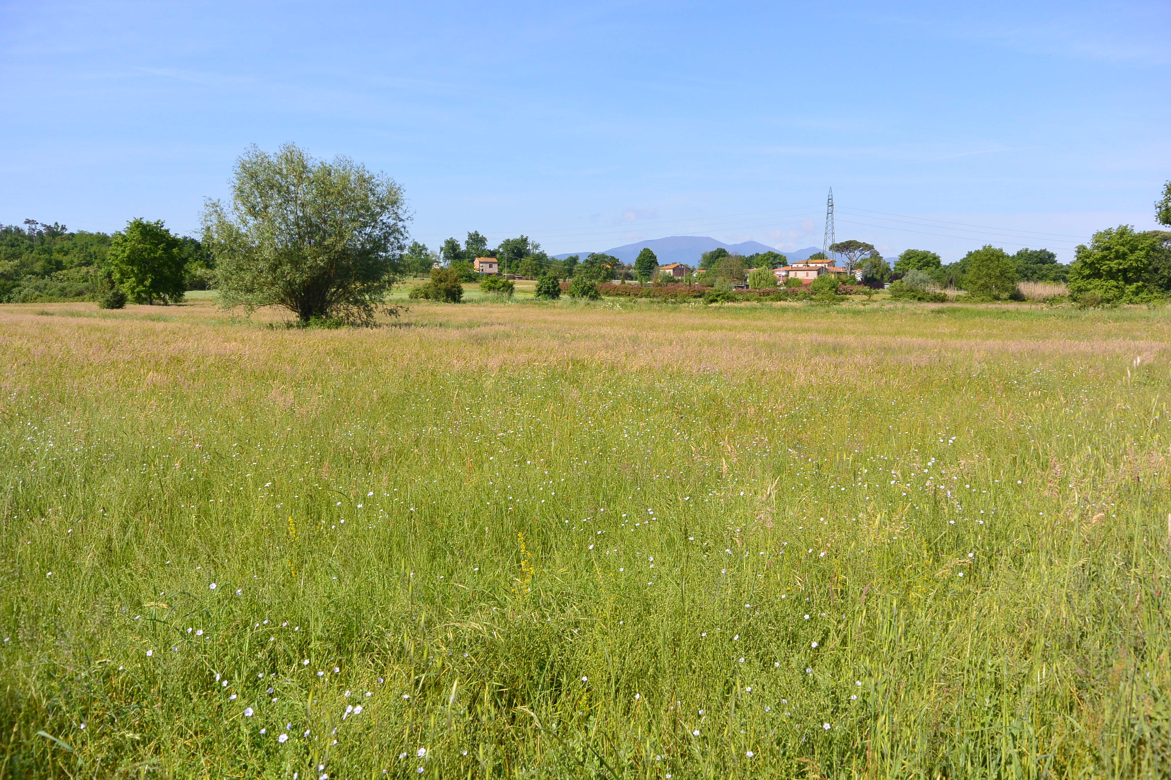 Galleno site, photo 1