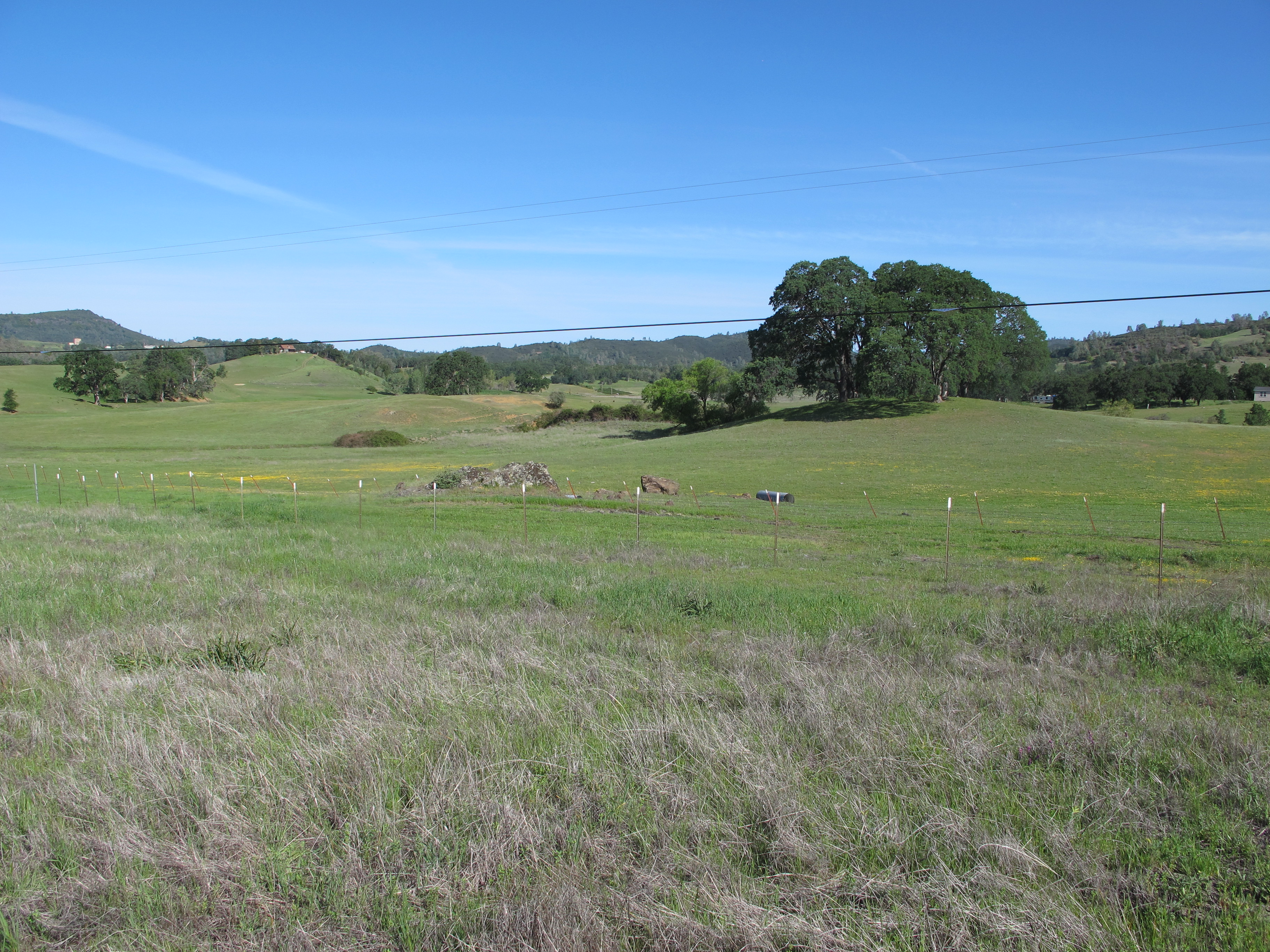 Site and landscape at McLaughlin UCNRS