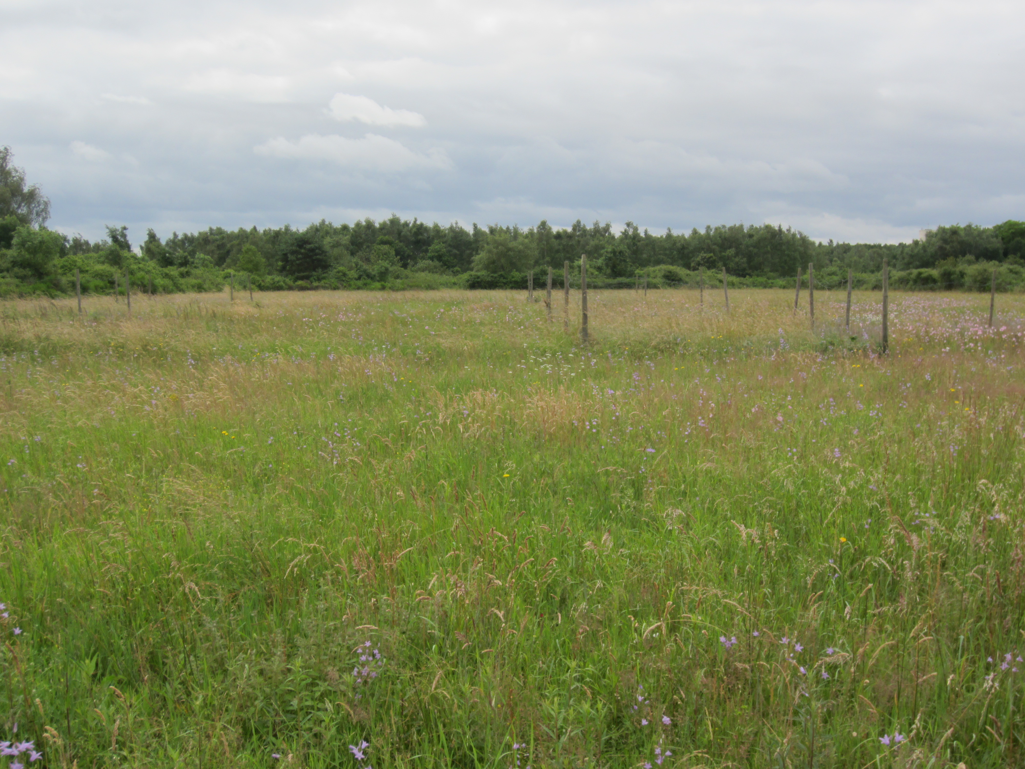 CEREEP-Ecotron IDF site, photo 1