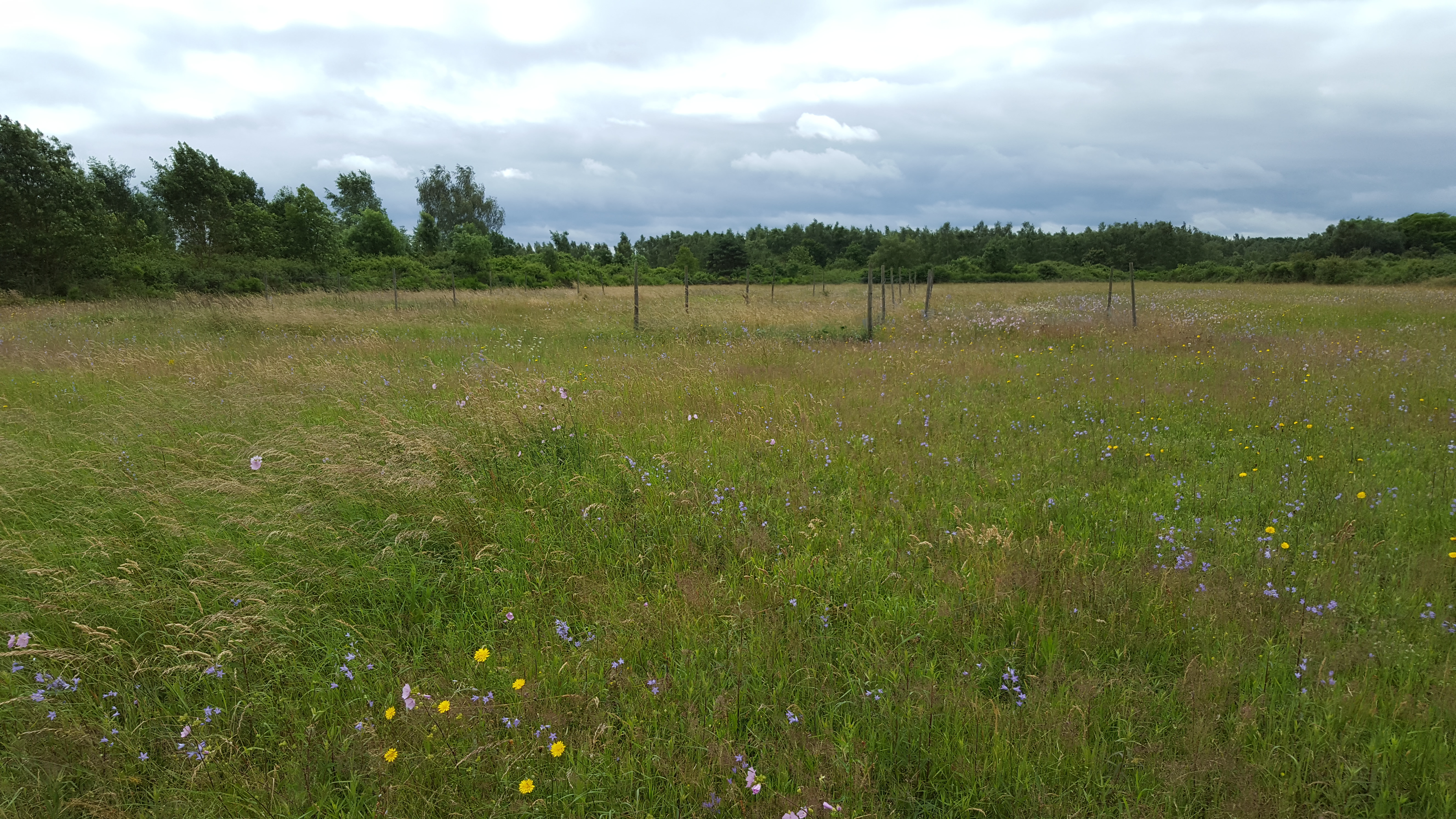 CEREEP-Ecotron IDF site, photo 2