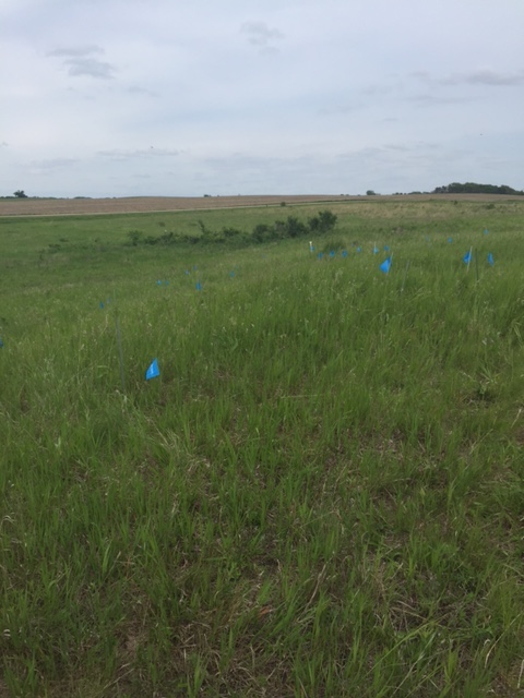 site photo from lakeside lab