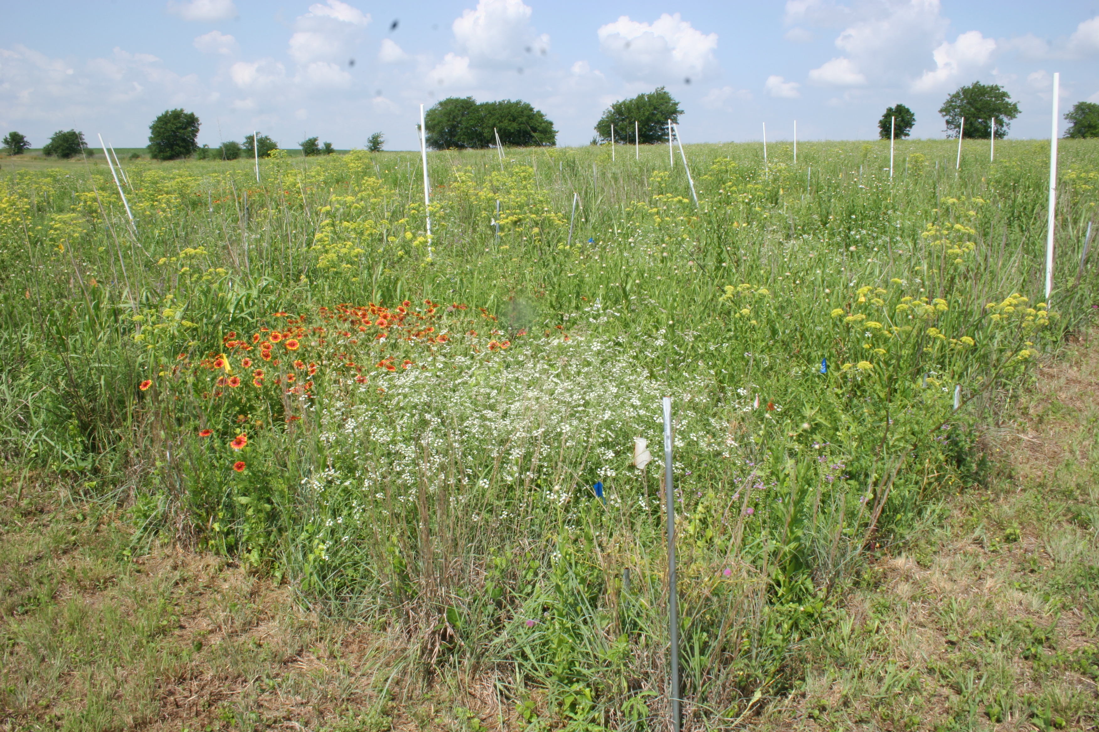 Site photo May2010-1