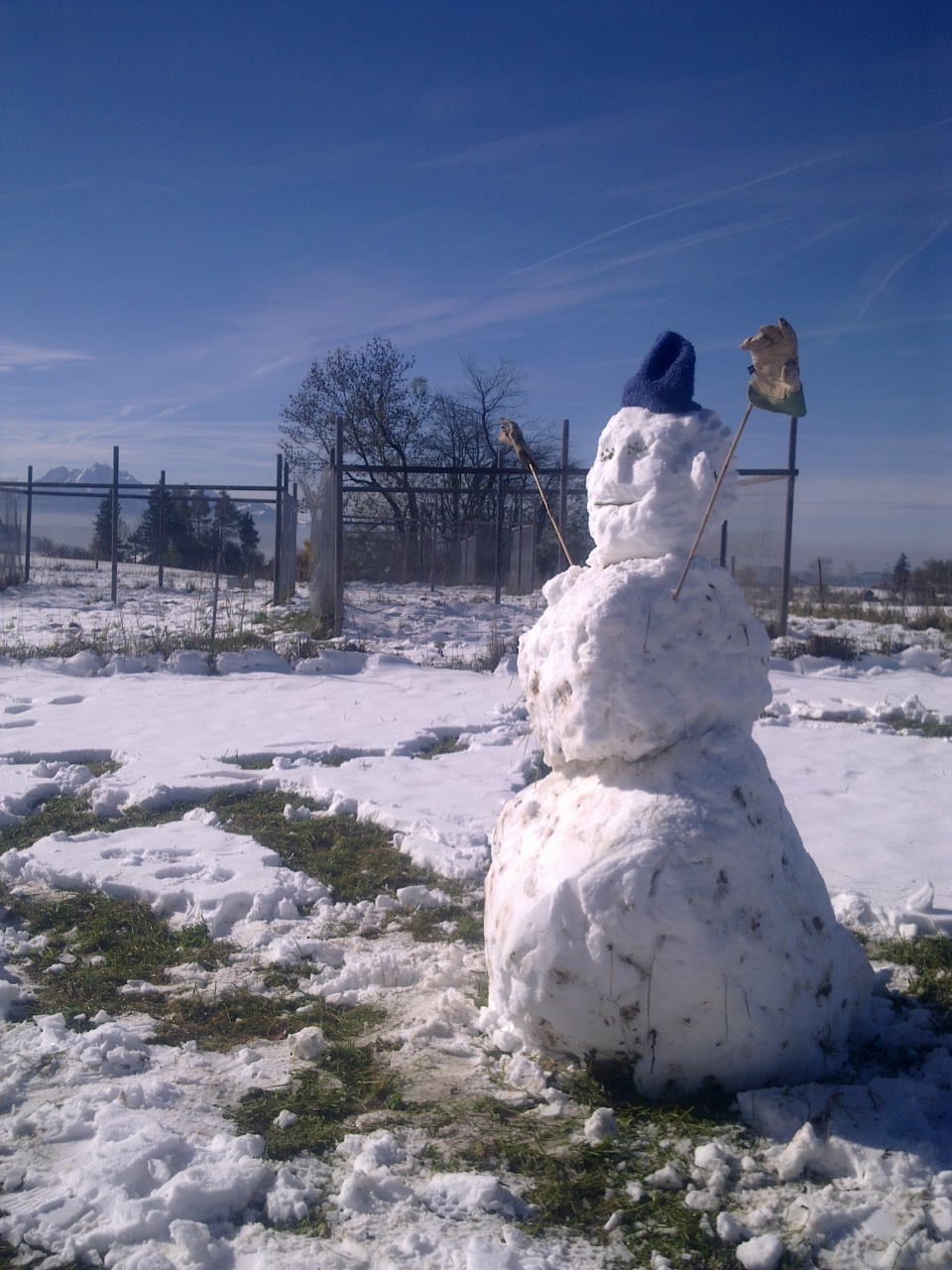 Snowman at Fruebuel site