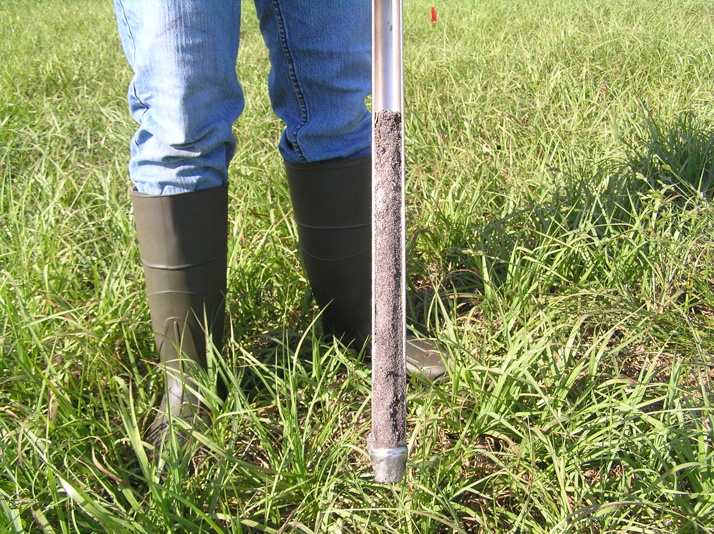 Soil core sample