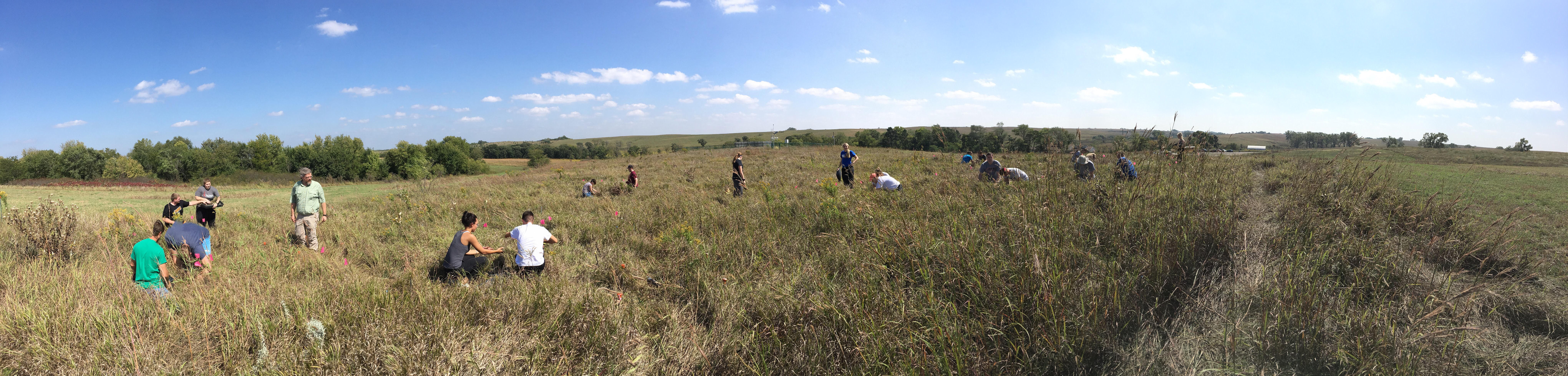 Students field sampling