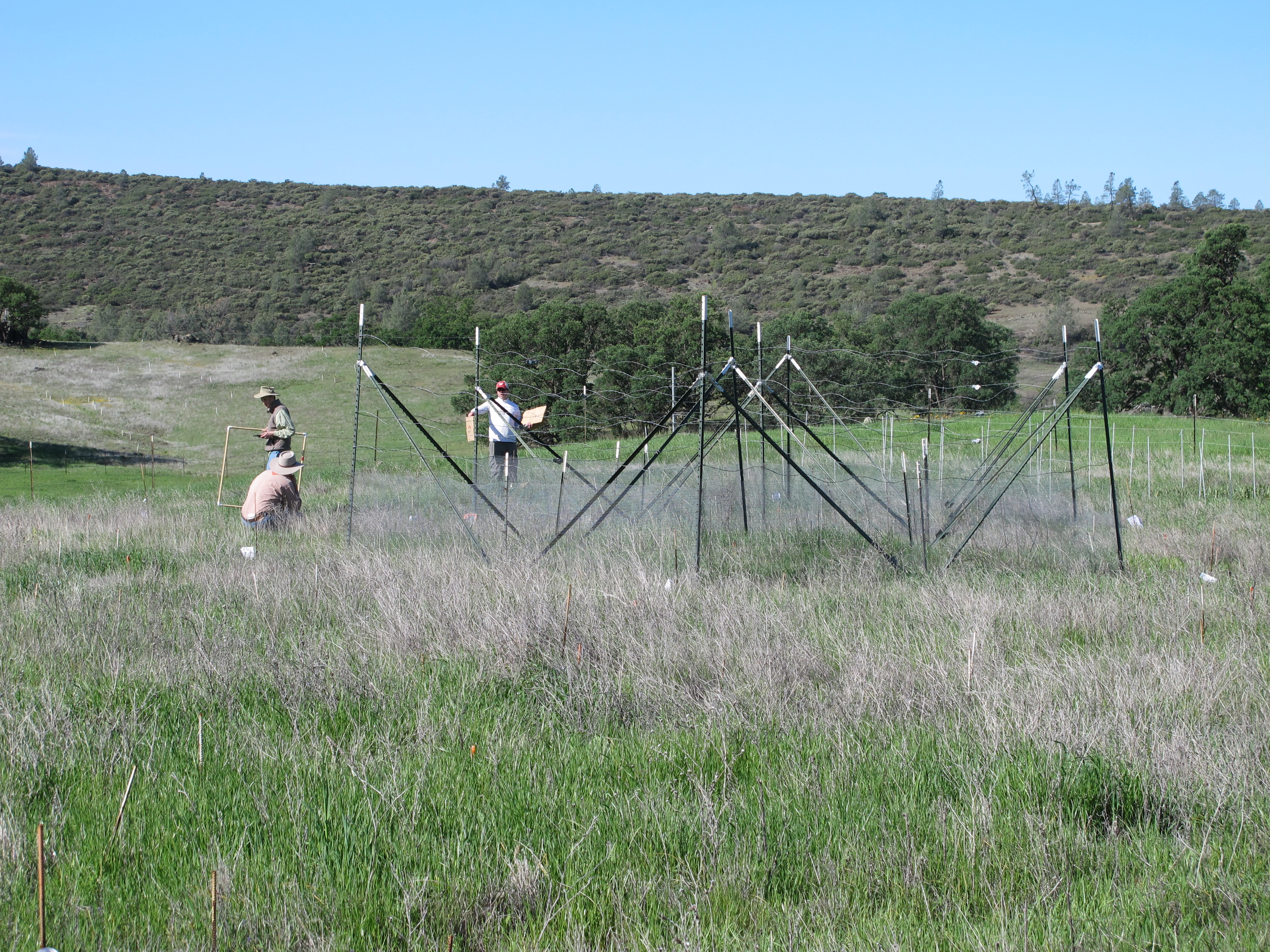 Team working at McLaughlin UCNRS site