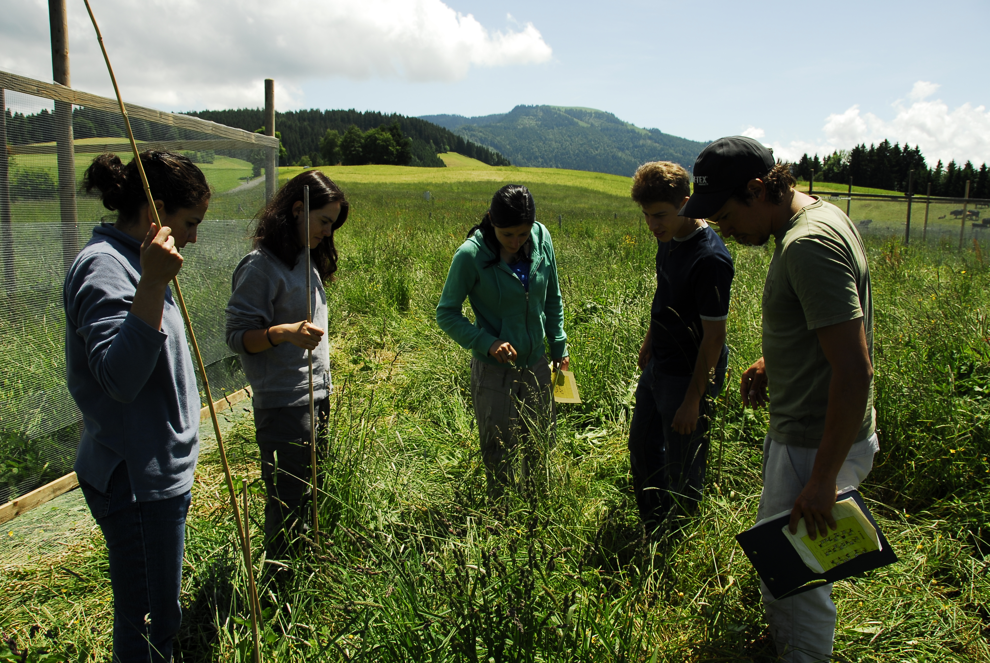 Team members at Fruebuel site