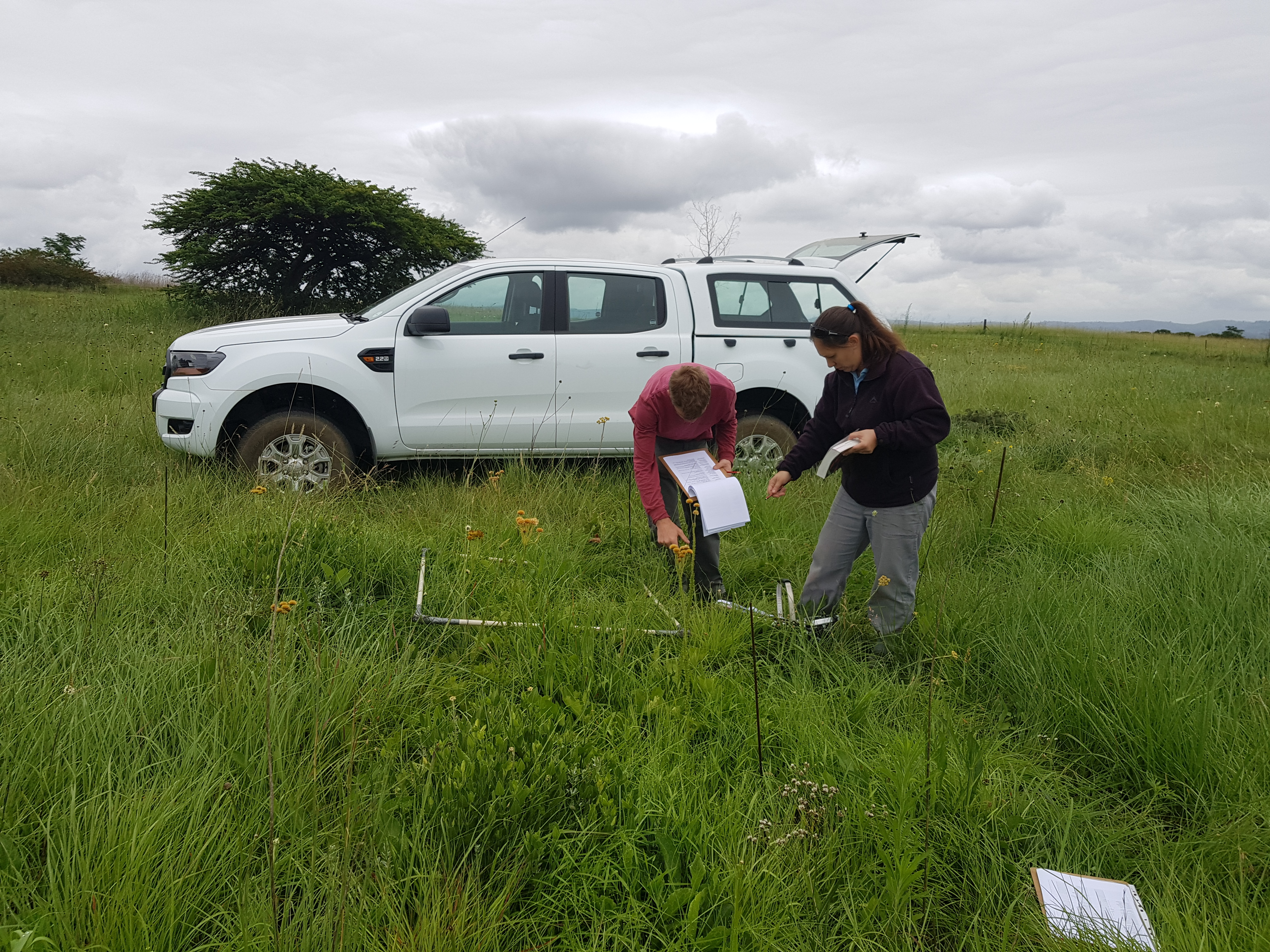 Ukulinga team members 2018