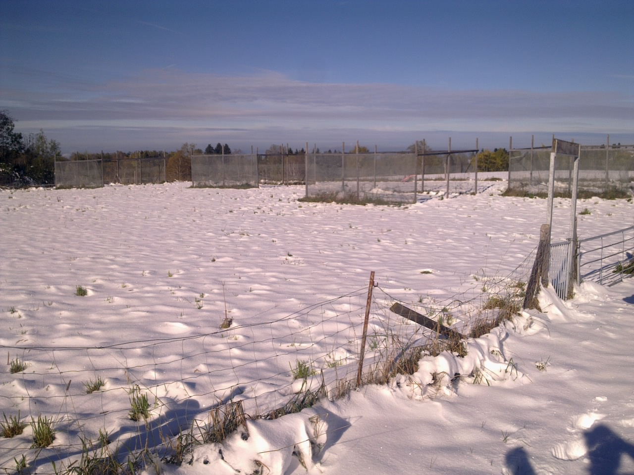 Winter at Fruebuel site, photo 1