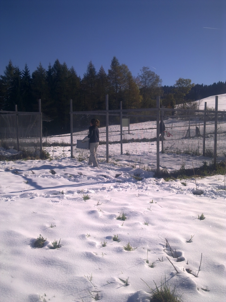 Winter at Fruebuel site, photo 2