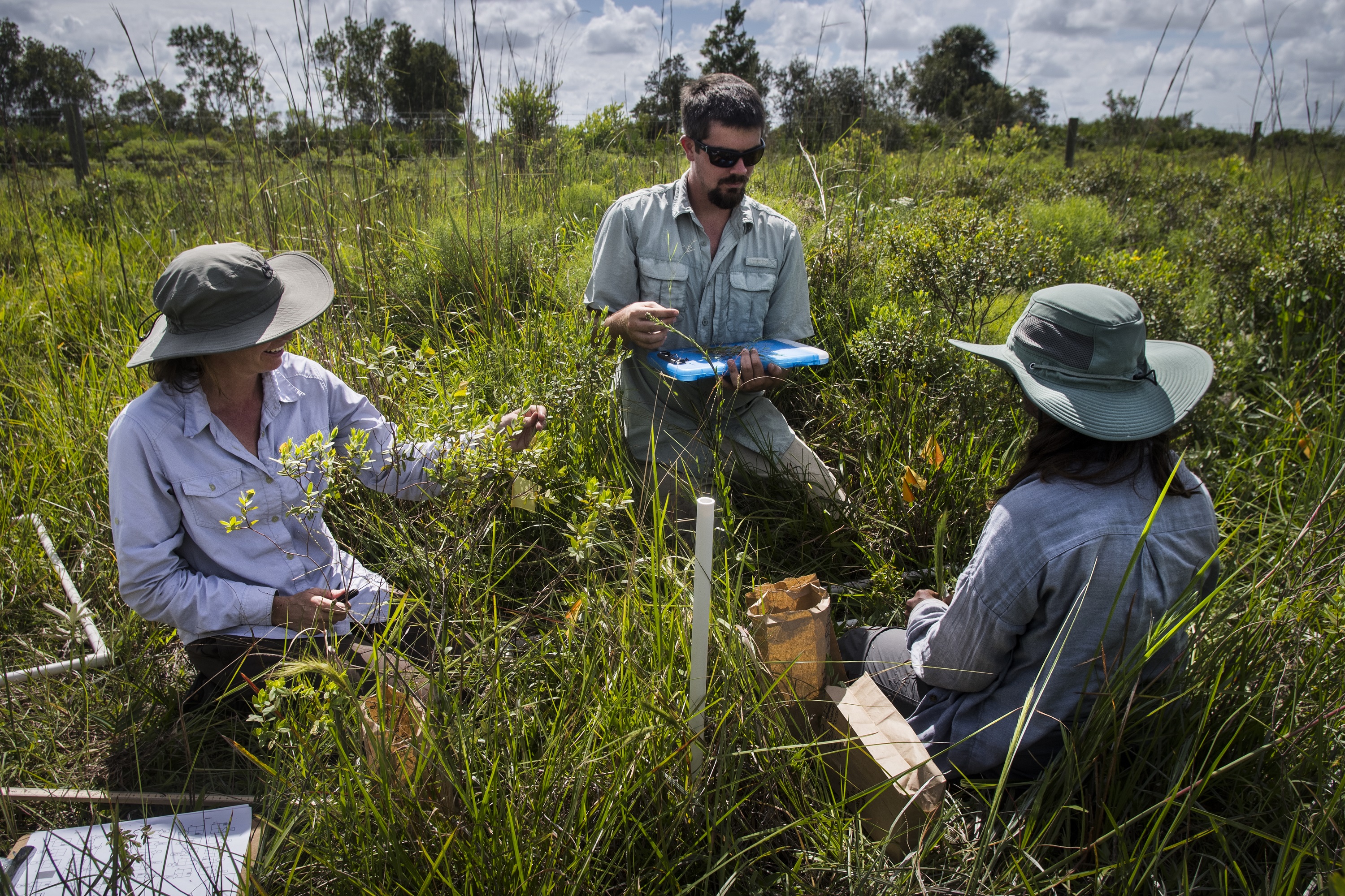 Team members working at Archbold Biological Station