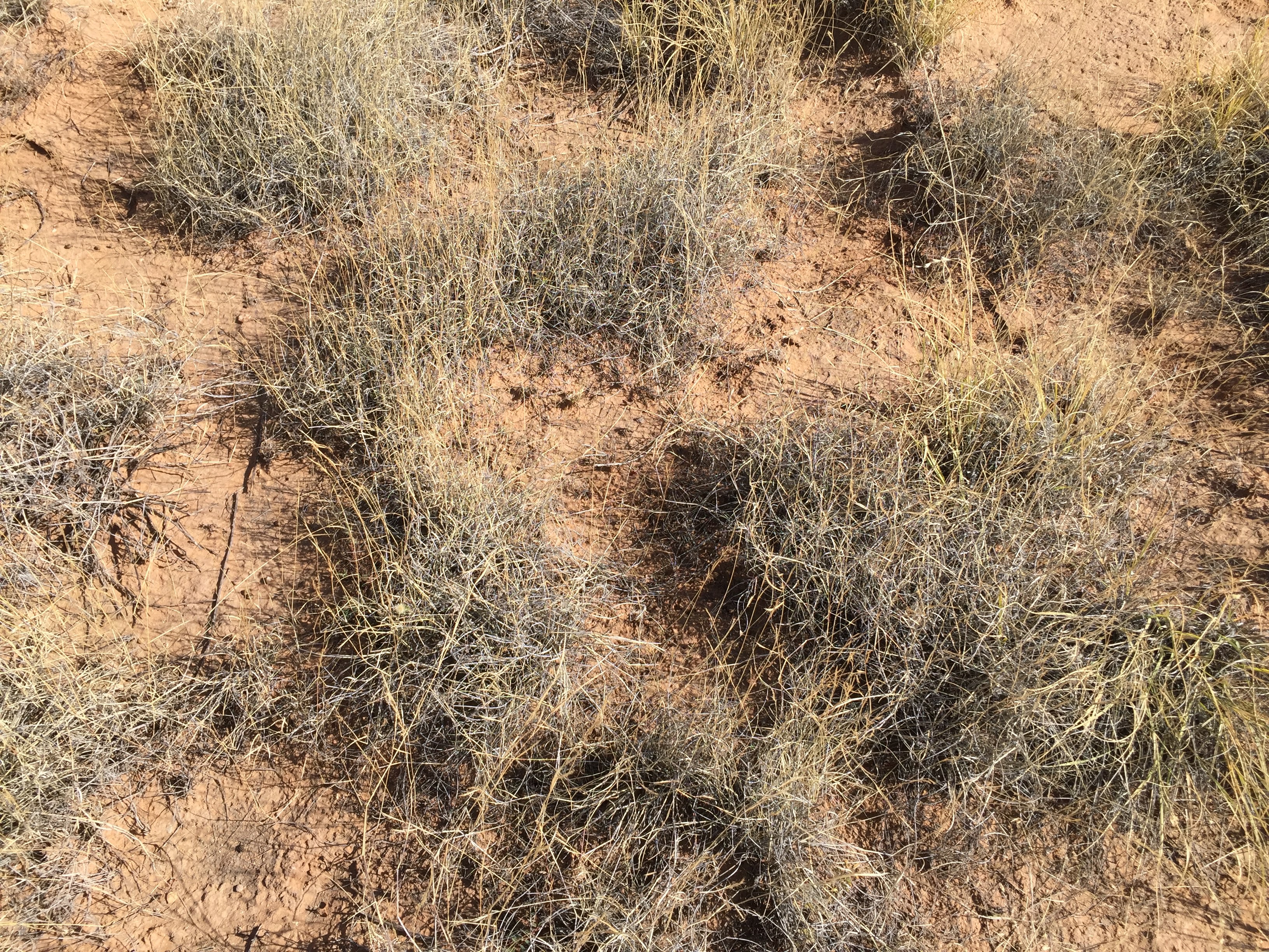 Control November 2016