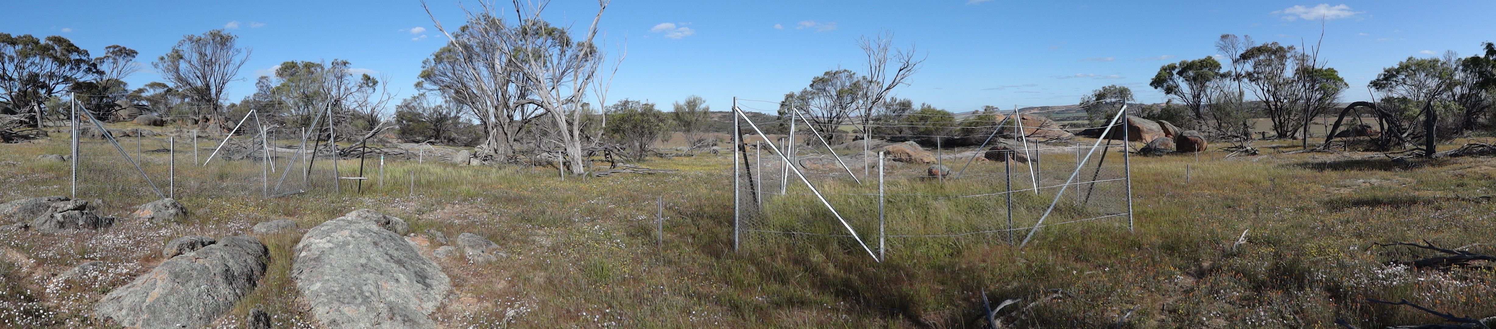 Mount Caroline site landscape 2011 