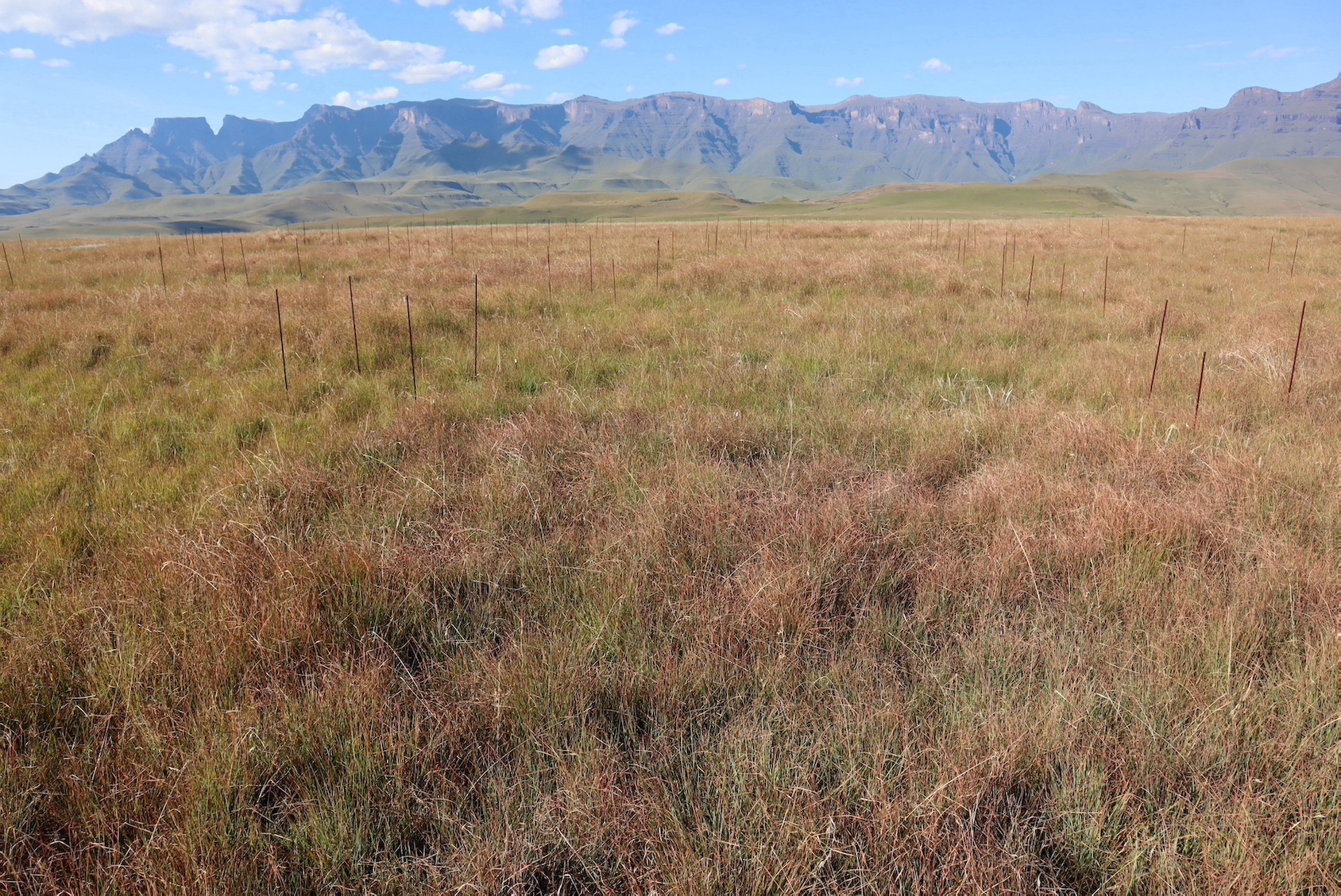 Drake Treatment Effects